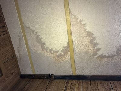 Professional water damage restoration services in Loma Linda - CrestEase Crew